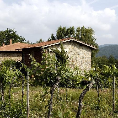 Agriturismo Castello Di Querceto Lucolena in Chianti Екстериор снимка