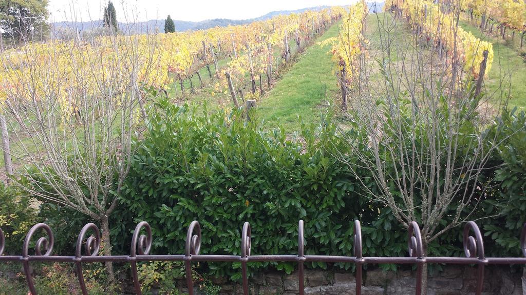 Agriturismo Castello Di Querceto Lucolena in Chianti Екстериор снимка